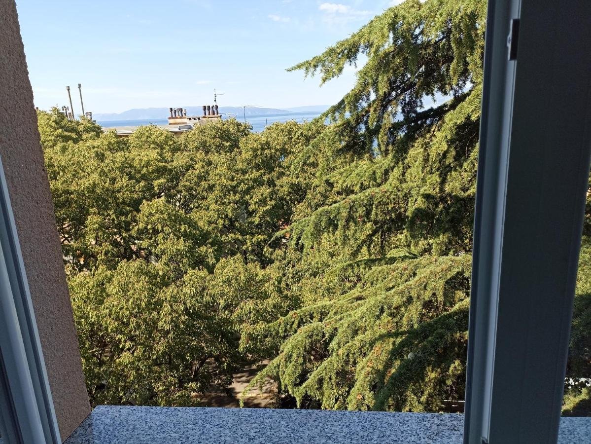 Apartman Pecine Rijeka Bagian luar foto