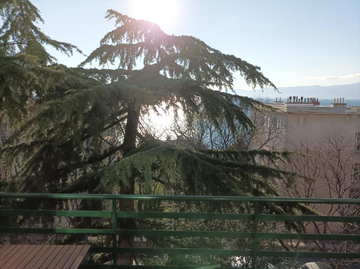Apartman Pecine Rijeka Bagian luar foto