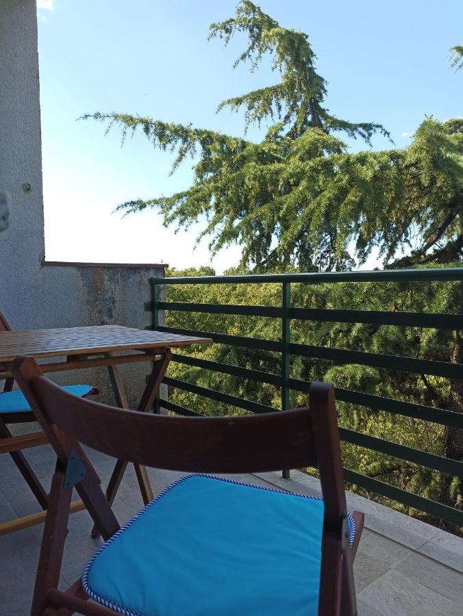 Apartman Pecine Rijeka Bagian luar foto
