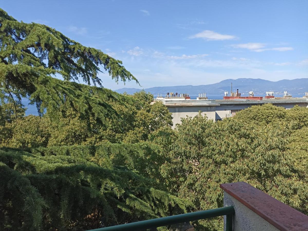Apartman Pecine Rijeka Bagian luar foto